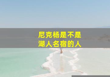 尼克杨是不是湖人名宿的人