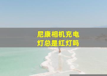 尼康相机充电灯总是红灯吗