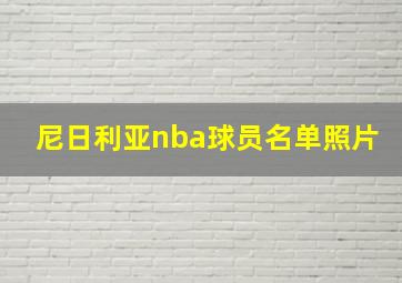 尼日利亚nba球员名单照片