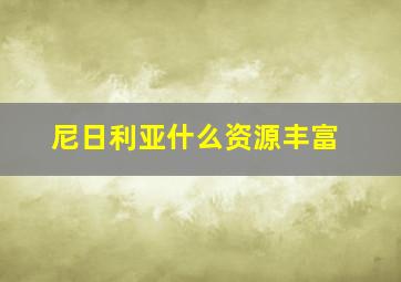 尼日利亚什么资源丰富