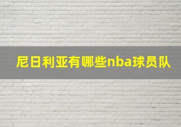 尼日利亚有哪些nba球员队