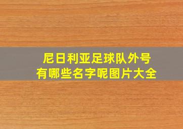 尼日利亚足球队外号有哪些名字呢图片大全