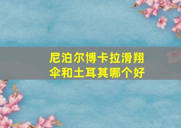 尼泊尔博卡拉滑翔伞和土耳其哪个好