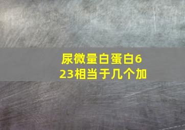 尿微量白蛋白623相当于几个加