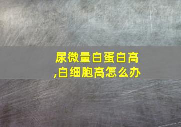 尿微量白蛋白高,白细胞高怎么办