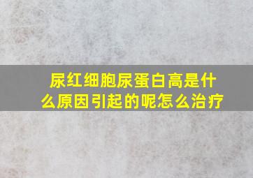 尿红细胞尿蛋白高是什么原因引起的呢怎么治疗