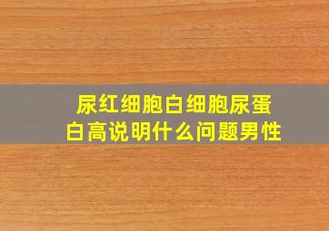 尿红细胞白细胞尿蛋白高说明什么问题男性