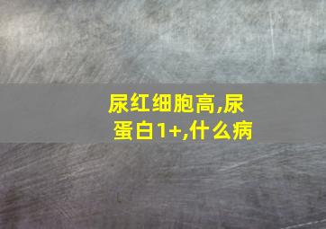 尿红细胞高,尿蛋白1+,什么病