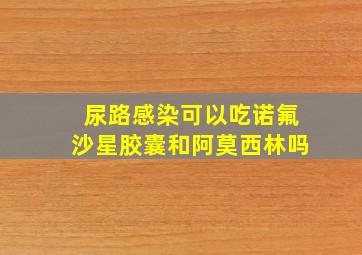 尿路感染可以吃诺氟沙星胶囊和阿莫西林吗