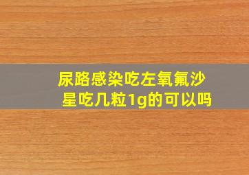 尿路感染吃左氧氟沙星吃几粒1g的可以吗