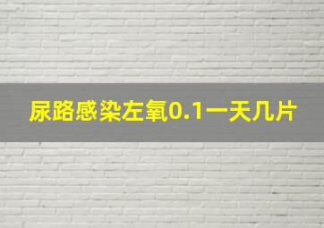 尿路感染左氧0.1一天几片