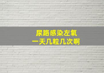 尿路感染左氧一天几粒几次啊