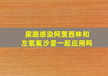 尿路感染阿莫西林和左氧氟沙星一起应用吗