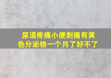 尿道疼痛小便刺痛有黄色分泌物一个月了好不了