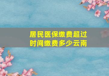 居民医保缴费超过时间缴费多少云南