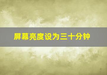 屏幕亮度设为三十分钟