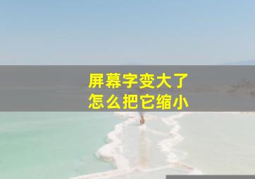 屏幕字变大了怎么把它缩小