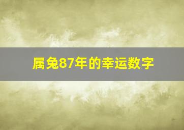 属兔87年的幸运数字