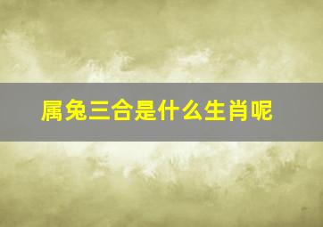 属兔三合是什么生肖呢