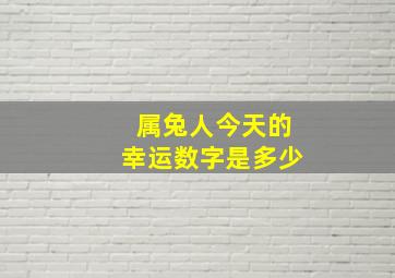 属兔人今天的幸运数字是多少