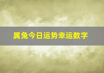 属兔今日运势幸运数字