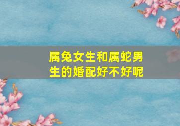 属兔女生和属蛇男生的婚配好不好呢