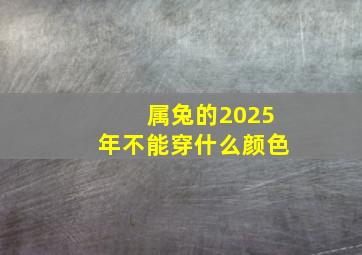 属兔的2025年不能穿什么颜色