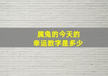 属兔的今天的幸运数字是多少