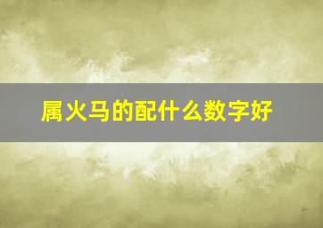 属火马的配什么数字好