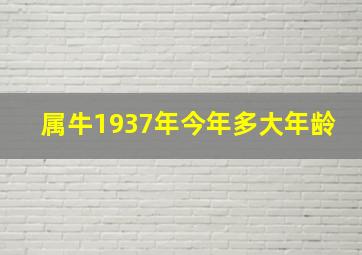 属牛1937年今年多大年龄