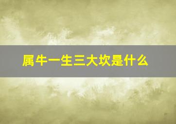 属牛一生三大坎是什么