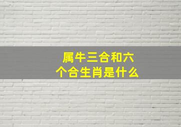 属牛三合和六个合生肖是什么