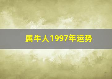 属牛人1997年运势