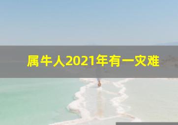 属牛人2021年有一灾难