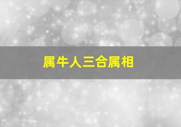 属牛人三合属相