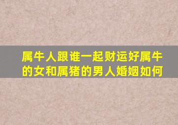 属牛人跟谁一起财运好属牛的女和属猪的男人婚姻如何