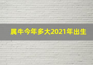 属牛今年多大2021年出生