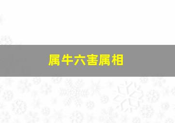 属牛六害属相