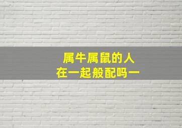 属牛属鼠的人在一起般配吗一