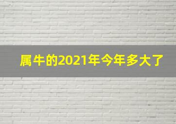 属牛的2021年今年多大了