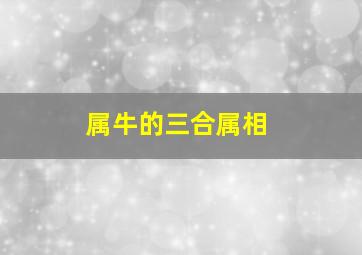 属牛的三合属相