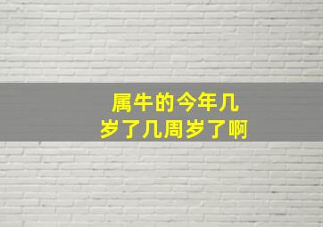 属牛的今年几岁了几周岁了啊