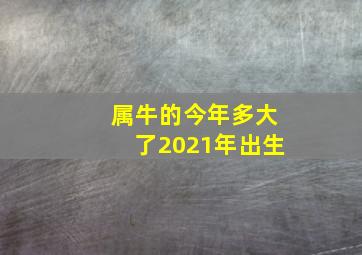 属牛的今年多大了2021年出生