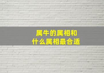 属牛的属相和什么属相最合适