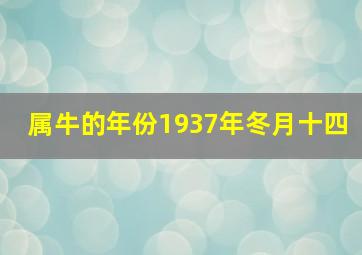 属牛的年份1937年冬月十四