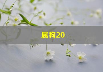 属狗20