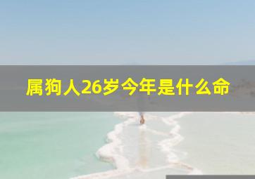 属狗人26岁今年是什么命