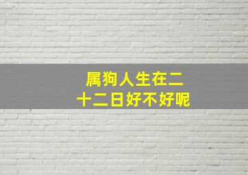 属狗人生在二十二日好不好呢