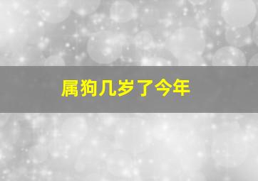 属狗几岁了今年