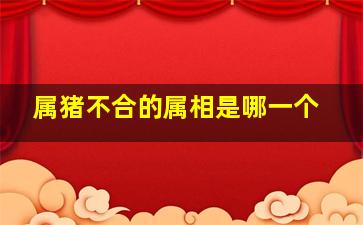 属猪不合的属相是哪一个